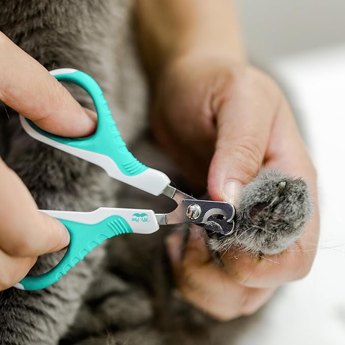 Mr. Pen- Cat Nail Clipper, Sky Blue Cat Nail Trimmer, Cat Nail Clippers, Cat Claw Clippers, Cat Clippers for Nails, Pet Nail Clippers, Kitten Nail Clipper, Small Dog Nail Clipper Cat Claw Trimmer - PAWPICO