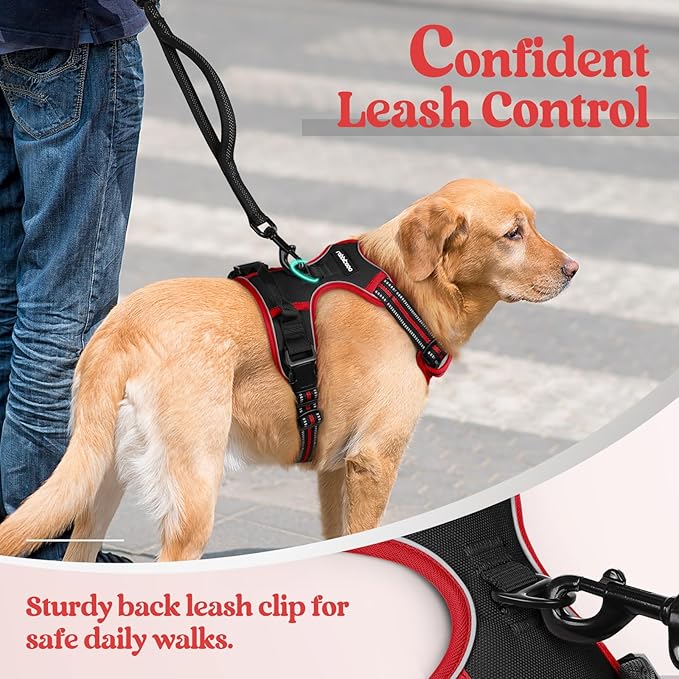 rabbitgoo Dog Harness No Pull with 2 Leash Clips, Adjustable Soft Padded, Reflective Oxford No Choke Pet Vest with Easy Control Handle for Medium Sized Dogs, Black & Red, M rabbitgoo