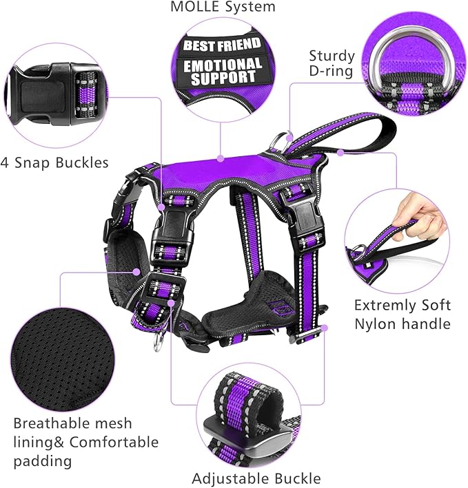 WINSEE Pet Harness Collar and Leash Set, All-in-one Reflective Dog Harness No Pull with Adjustable Buckles for Puppies, Small, Medium, Large, and Extra-Large Dogs (Large, Purple) WINSEE