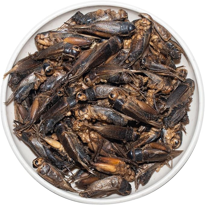 Freeze Dried Crickets – 4.5 Oz High Protein Freeze Dried Crickets, Food for Reptiles, Bearded Dragons, Lizards, Geckos, Birds, Fish,Hedgehogs, Bearded Dragon Food Jadingfarm