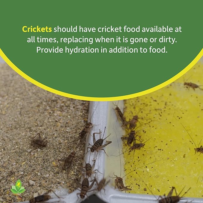 Josh's Frogs Cricket Food (1 Gallon) JoshsFrogs
