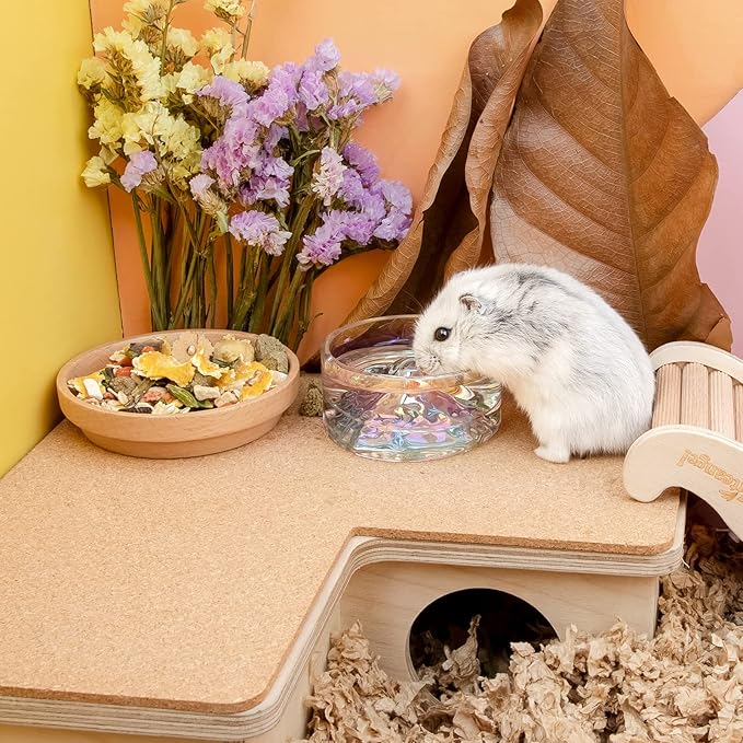 Niteangel Hamster Feeding & Water Bowls- Mount Fuji Series Glass Drinking Bowls for Dwarf Syrian Hamsters Gerbils Mice Rats or Other Similar-Sized Small Pets Niteangel
