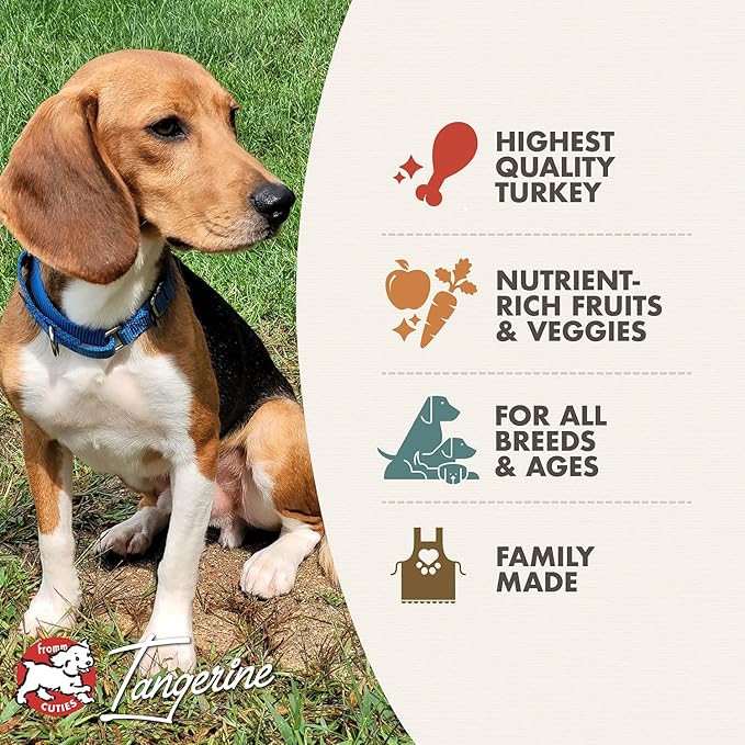 Fromm Four-Star Nutritionals Game Bird Dog Food - Premium Dry Dog Food - Turkey Recipe - 26 lb - PAWPICO