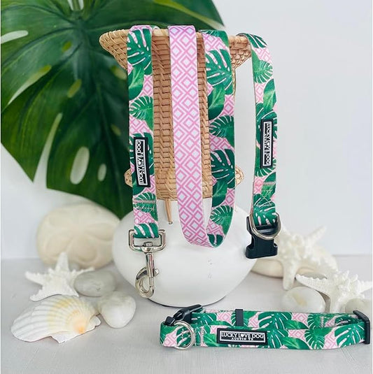 Lucky Love Dog, Tropical Dog Collar for Female Male Dogs, Comfortable & Soft, Vivid Pink Dog Collar - (Large, Laguna Collar) LuckyLoveDog