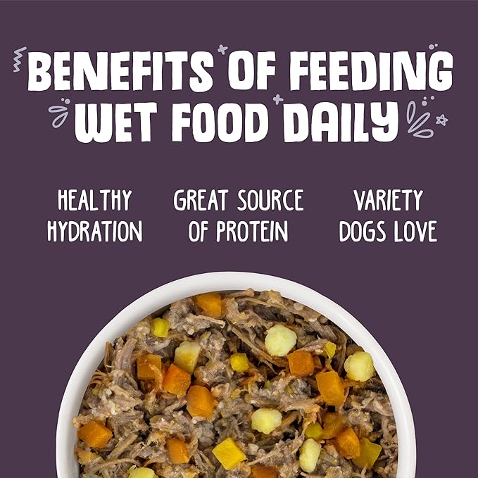 Weruva Classic Dog Food, Steak Frites with Beef, Pumpkin & Sweet Potato in Gravy, 5.5oz Can (Pack of 24) - PAWPICO