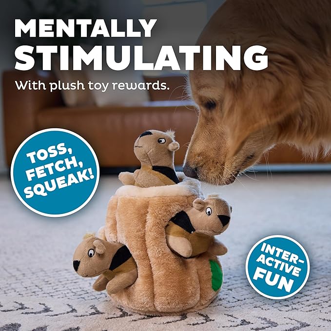 Outward Hound Hide A Squirrel Plush Dog Toy Puzzle, Large - PAWPICO