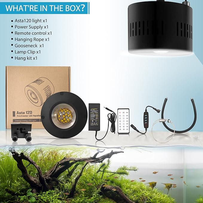Lominie Aquarium LED Light 10 Gallon Fish Tank Light Timer Clip on Aquarium Lamp Full Spectrum 80W 6500k for Freshwater Refugium Cube Tank with Gooseneck Lominie