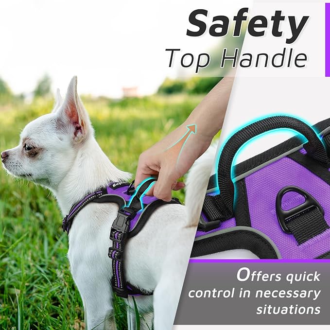 Eagloo Small Dog Harness No Pull, Service Vest with Reflective Strips and Control Handle, Adjustable and Comfortable for Easy Walking, No Choke Pet Harness with 2 Metal Rings, Purple, XS GoExplorewithEagloo