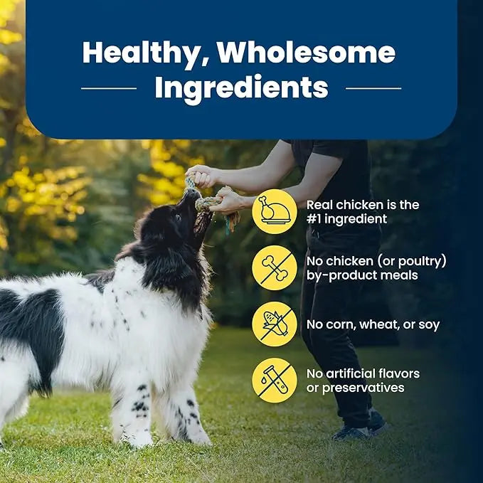 Blue Buffalo Life Protection Formula Natural Adult Healthy Weight Dry Dog Food, Chicken and Brown Rice 15-lb - PAWPICO