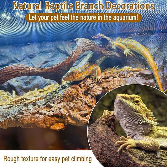 BNOSDM Reptile Forest Climbing Branch Decor Crested Gecko Climb Wood Natural Branches Tree for Snake Frog Chameleon Spider Bearded Dragon Terrarium Habitat Tank Accessories,3PCS BNOSDM