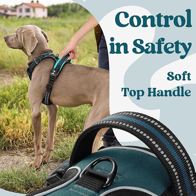 rabbitgoo Dog Harness Small Sized, No Pull Pet Harness with 3 Buckles, Adjustable Soft Padded Pooch Vest with Instant Control Handle, Easy Walking Reflective Pet Vest for Small Dogs, Blue Coral, S rabbitgoo