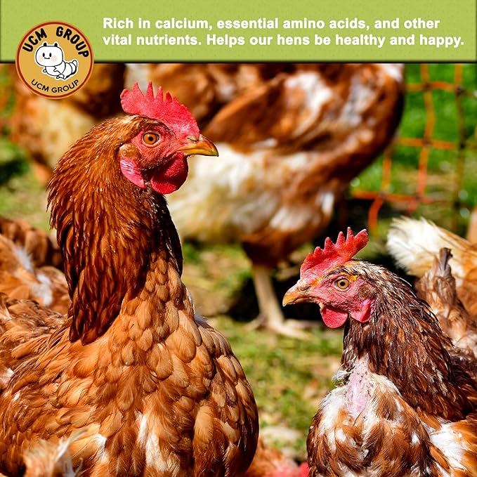 UCM Group 20LB Dried Black Soldier Fly Larvae for Chicken, Poultry, Wild Birds,100% Natural Non-GMO, No Additives, Treat, More Calcium Chicken Treats Than Mealworms, 4 Packs UCMGroupUCMGroup