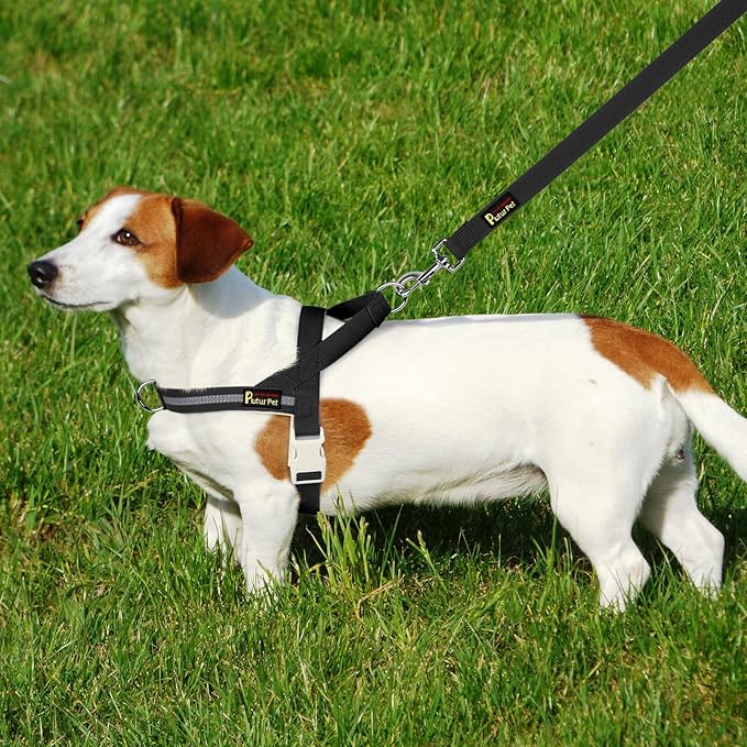 Plutus Pet Cotton Dog Harness and Leash Set, Reflective and Soft Padded, Quick Fit Vest Harness, for Small, Medium and Large Dogs, Black, L - PAWPICO