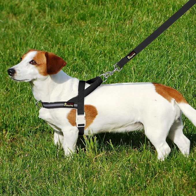 Plutus Pet Cotton Dog Harness and Leash Set, Reflective and Soft Padded, Quick Fit Vest Harness, for Small, Medium and Large Dogs, Black, M - PAWPICO
