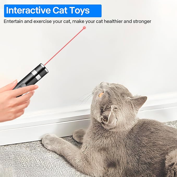 2 Pack Cat Toys, Cat Toy Red Pointer for Indoor, Rechargeable, 5 Adjustable Patterns, 3 Modes Training Chaser Pet Toy Pointer, Interactive Pet Cat/Dog Toy for Cats Fun Playing Exercise(Black) - PAWPICO