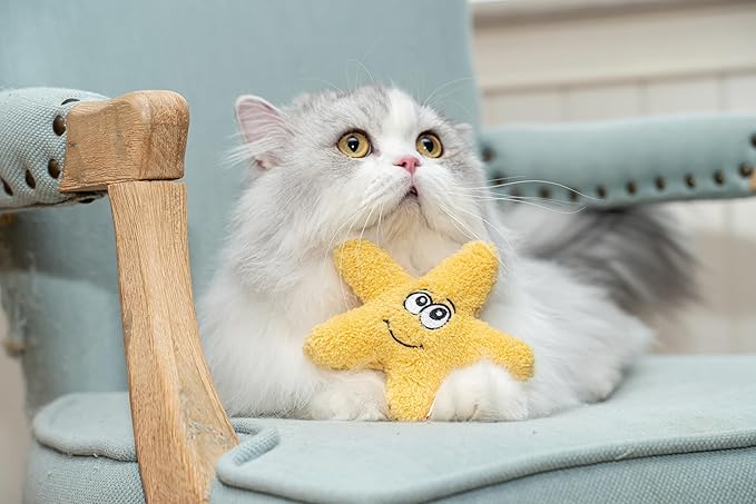 Interactive Catnip Cat Plush Toy, Ocean Theme, 5'', for All Breed Size Cats (Starfish) - PAWPICO