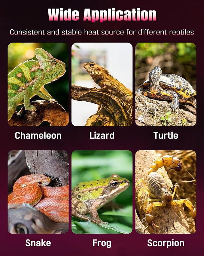 Pawfly 28 W Reptile Heat Pad 11 x 11 Inch Reptile Heating Pad Under Tank Terrarium Safe Fast Heating Mat Heat Mat for Turtles Frogs Snakes Lizards Geckos Hermit Crabs Spiders & Other Reptiles Pawfly