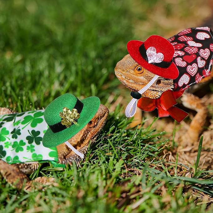 4 Pcs Bearded Dragon Valentine’s Day St. Patrick’s Day Costumes, Lizard Valentines St Patricks Hats Bandanas Outfits for Bearded Dragon Lizard Hamster Guinea Pig Small Animal JOTFA