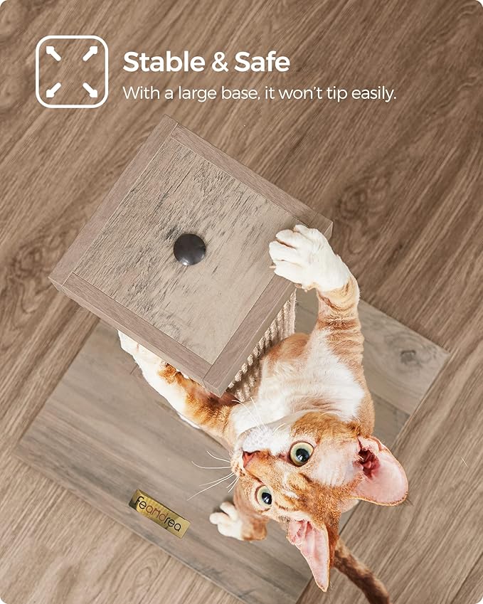 Feandrea Cat Scratching Post, Cat Scratcher for Indoor Cats, 28.7 Inches Tall, Furniture Scratching Deterrent Sisal Scratch Pole with Toy, Greige UPCA021G01 - PAWPICO