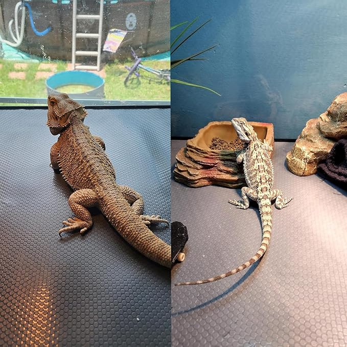 Bearded Dragon Tank Accessories, Reptile Mat, Reptile Terrarium Substrate Liner for Leopard Gecko, Lizard, Snake, Tortoise, Iguana Non-Adhesive Reptile Flooring (18"x72" Grey) zunzingy