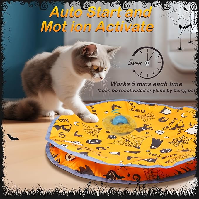 Interactive Cat Toys Ball Rolling in The Pouch, Chirping & Motion Activated Interactive Cat Ball Toy Begins Hide and Seek Game in Mat, Rechargeable Cat Exercise Toy - PAWPICO