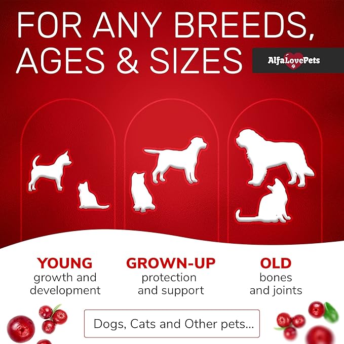ะกat Vitamins for Indoor Cats in Drops โ Liquid Multivitamin for Dogs โ Dog Multivitamin Liquid Supplement โ Cat Multivitamin โ Multivitamin for Dogs โ Vitamin C for Cats โ 2 oz AlfaLovePets