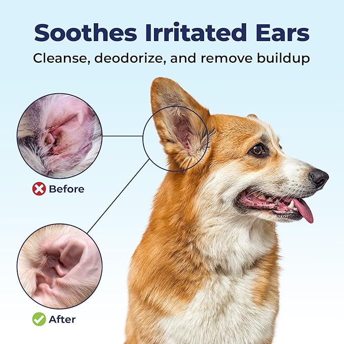 VETNIQUE Oticbliss Advanced Cleaning Ear Wipes for Dogs for Odor Control, Dirt and Wax Removal with Soothing Aloe Vera, Salicylic Acid & Vitamin E, (Ear Cleaning Wipes, Advanced Cleaning Large) VetniqueLabs