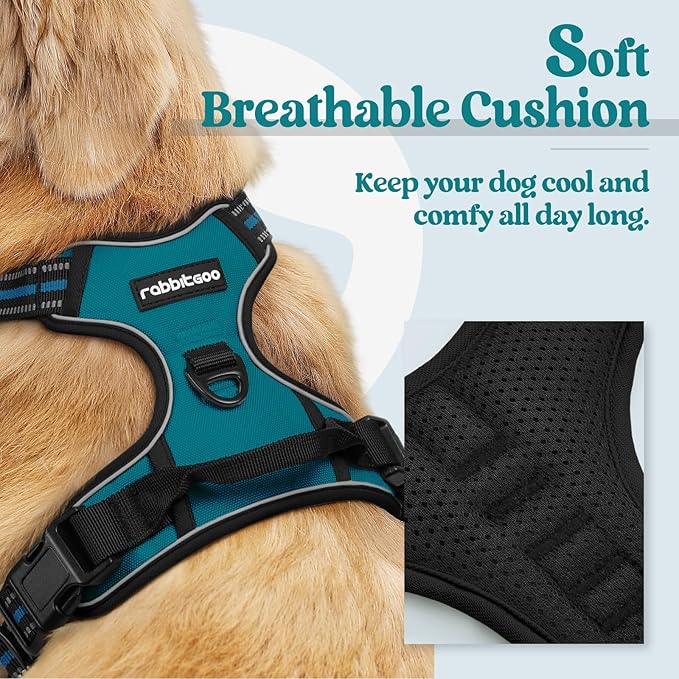 rabbitgoo Dog Harness No Pull with 2 Leash Clips, Adjustable Soft Padded, Reflective Oxford No Choke Pet Vest with Easy Control Handle for Large Dogs, Blue Coral, XL rabbitgoo