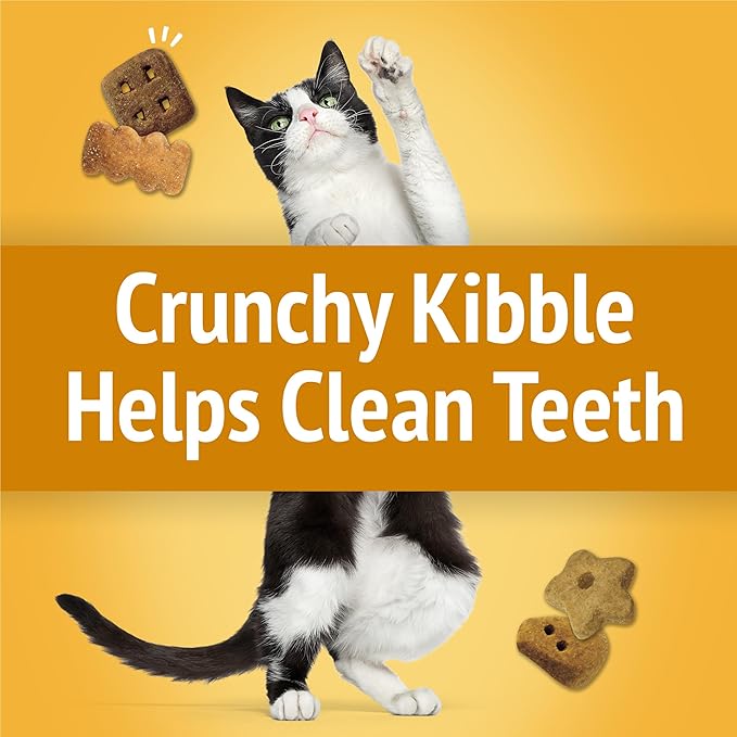 Purina Friskies Cat Treats, Party Mix Cheezy Craze Crunch - 20 oz. Pouch PurinaTreats