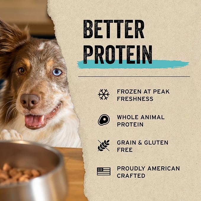 Vital Essentials Freeze Dried Raw Single Ingredient Dog Treats, Beef Liver, 2.1 oz - PAWPICO