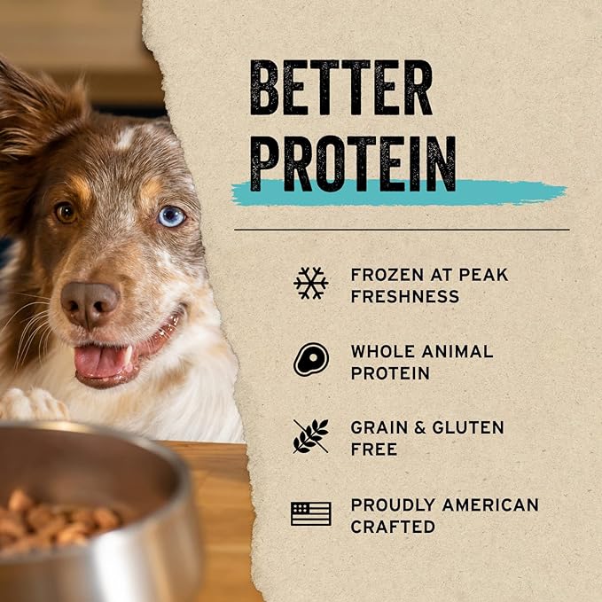 Vital Essentials Freeze Dried Raw Single Ingredient Dog Treats, Minnows, 1 oz - PAWPICO
