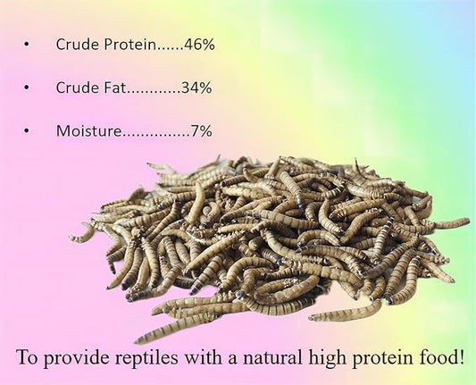 3.5oz Superworms - High Protein Reptile & Amphibian Food, Freeze-Dried for Maximum Nutrition Classic+Flock