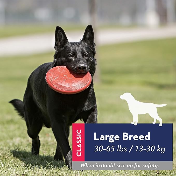 KONG Flyer - Durable Dog Toy for Outdoor Playtime - Natural Rubber Flying Disc, Dog Toy for Fetch - Safer Disc for Healthy Activity - for Medium/Large Dogs - PAWPICO