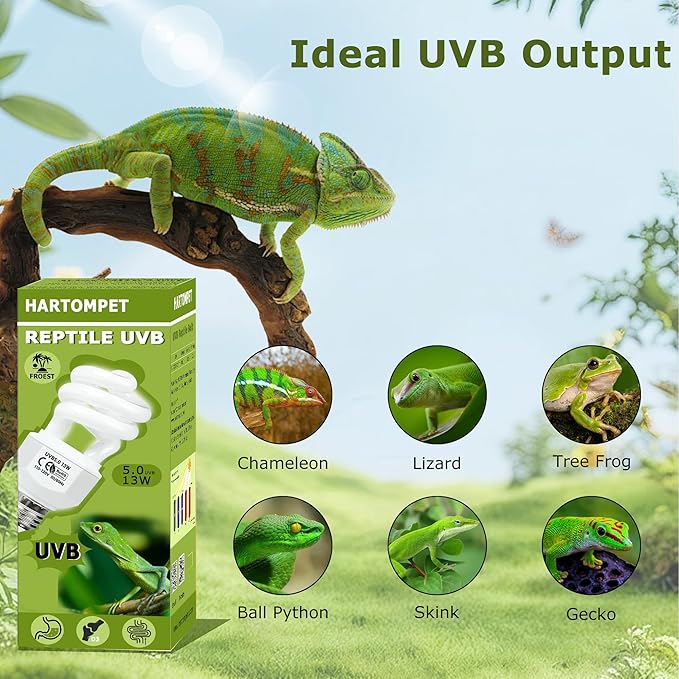 5.0 UVB Reptile Light 13W, Compact Tropical Terrarium Lamp, Coil UVB Fluorescent Bulb for Rainforest Reptiles – Light for Crowned Chameleons, Green Iguanas, Tree Frogs, Ball Pythons HARTOMPET