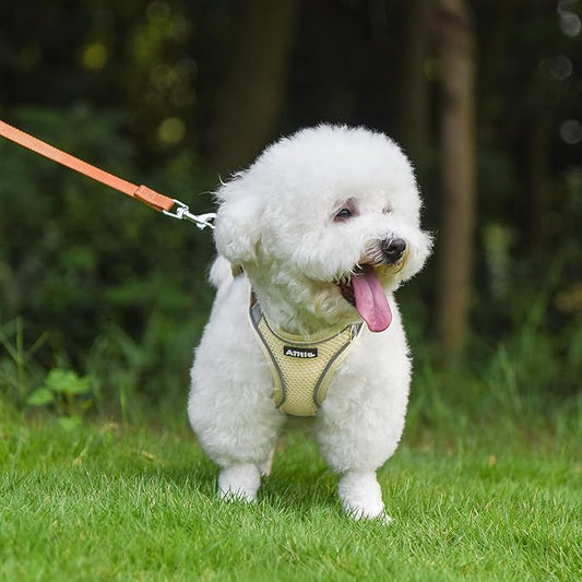 AIITLE Dog Harness, Spring No-Pull Cat Harness with a Leash, Adjustable Reflective Dog Vest, Cat Harness Escape Proof, Outdoor Walking, Camping for Extra Small Dogs and House Cats Beige XXXS AIITLE-FORPETSBETTERLIFE