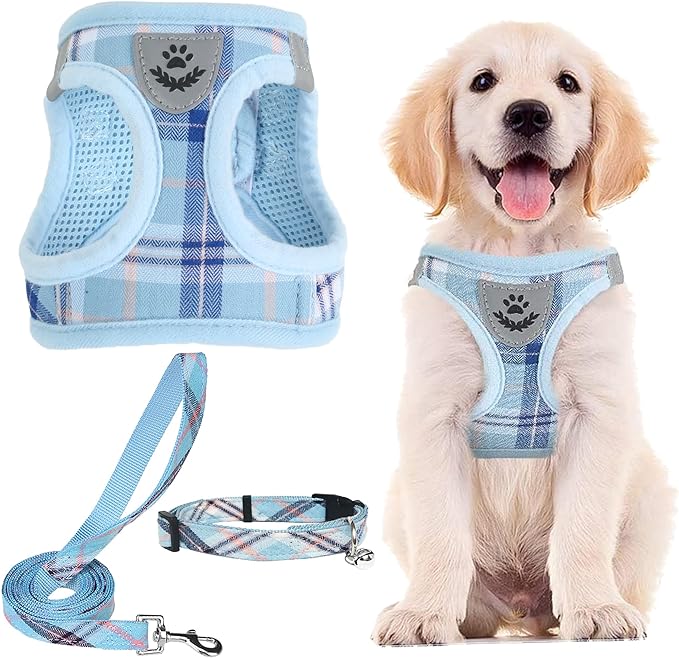 PUPTECK Adjustable Dog Harness Collar and Leash Set Step in No Pull Pet Harness for Small Medium Dogs Puppy and Cats Outdoor Walking Running, Soft Mesh Padded Reflective Vest Harnesses, Blue S PUPTECK