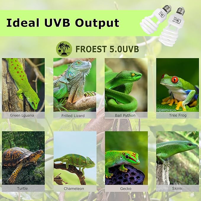5.0 UVB Reptile Light 13W, Compact Tropical Lamp, Coil UVB Bulbs, UVA Fluorescent Bulbs for Chameleons, Lizard, Turtle, Ideal Lighting for Small Reptile Tanks,Amphibians Terrarium Habitat HARTOMPET