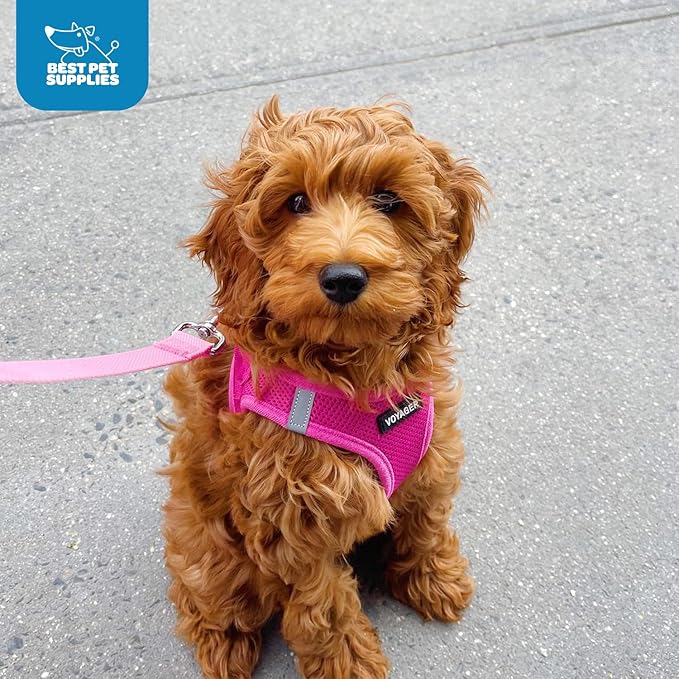 Voyager Step-in Air Dog Harness - All Weather Mesh, Reflective, No Pull Harness for Small, Medium Dogs, Cats - Secure with Hook & Loop Fastener, Buckle, Double D-Rings - Fuchsia, M BestPetSuppliesLLC
