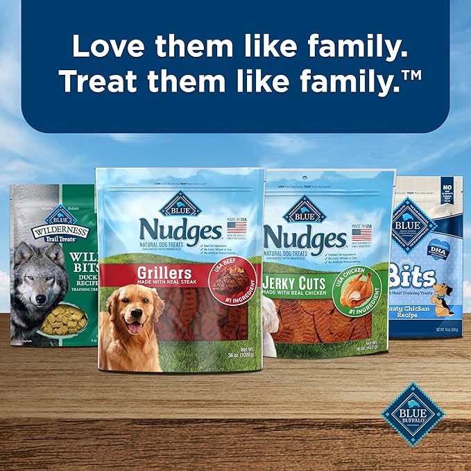 Blue Buffalo Nudges Grillers Natural Dog Treats, Made in the USA with Real Steak, 5-oz Bag - PAWPICO