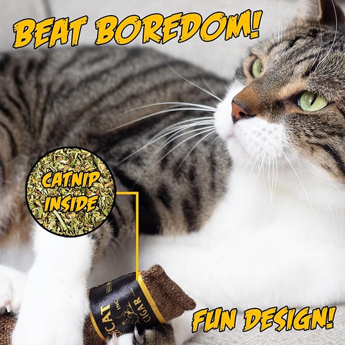 Cat Toy Cigar, Catnip Toys for Cats of All Breeds, Cat Toys for Indoor Cats, Kitten Toys, Action Themed Fun for Kicking, Biting, Chewing (Brown, 1-Pack) - PAWPICO