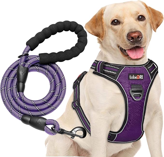 tobeDRI No Pull Dog Harness Adjustable Reflective Oxford Easy Control Medium Large Harness with A Free Heavy Duty 5ft Leash (L (Neck: 18"-25.5", Chest: 24.5"-33"), Purple) - PAWPICO