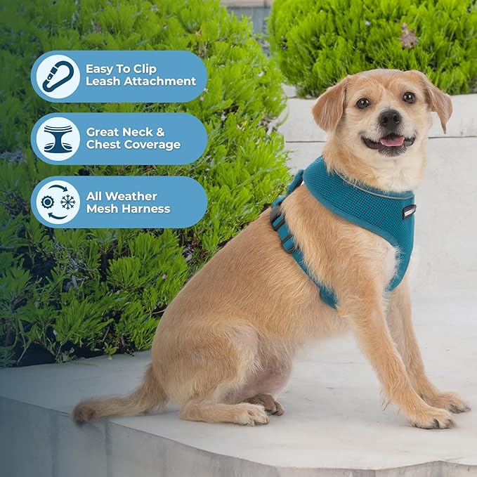Voyager Aerolite No Pull Mesh Dog Harness with Lightweight, Soft, Breathable, Reflective Stitching, and Adjustable Straps for Walking, Running, Training, Heavy Duty and Durable - Turquoise, S BestPetSuppliesLLC
