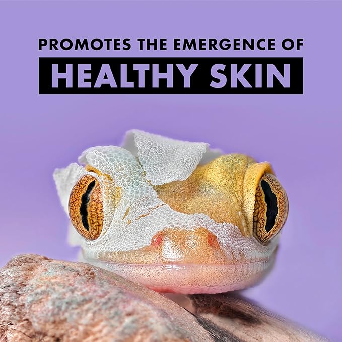 Zilla Shed-Ease Reptile Bath, Shedding Support and Penetrating Bath for All Lizards and Snakes (Pack of 2) Zilla
