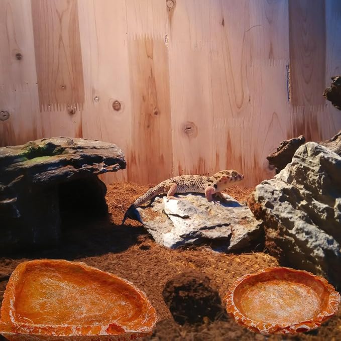 3 Pack Reptile Water Dish Food Bowl, Reptile Feeding Terrarium Bowls for Bearded Dragon Lizard Frog Gecko Tortoise Hermit Crab Snail (Orange) CATDABIR