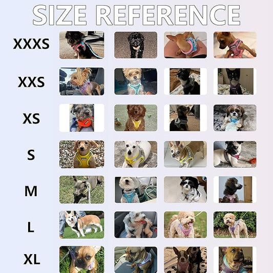 AIITLE No Pull Dog Harness and Leash Set, Step in Adjustable Dog Harness with Padded Vest for All Weather, Dog Leash with Soft Padded Handle, Easy to Put on Small and Medium Dogs Pure Pink S AIITLE-FORPETSBETTERLIFE