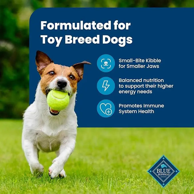 Blue Buffalo Life Protection Formula Adult Small Bite Dry Dog Food, Helps Build and Maintain Strong Muscles, Made with Natural Ingredients, Chicken & Brown Rice Recipe, 15-lb. Bag - PAWPICO