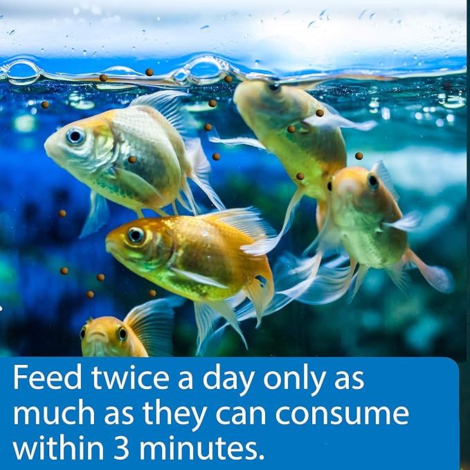 API GOLDFISH PELLETS Fish Food 4-Ounce Container, Medium, Model:833B API