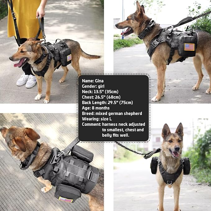 Forestpaw Tactical Dog Harness for Large Dogs,Tactical Dog Collar with Bungee Leash Set,No Pull Military Dog Harness for Dog Walking Training,Adjustable for Medium Large Dogs,Black S Forestpaw