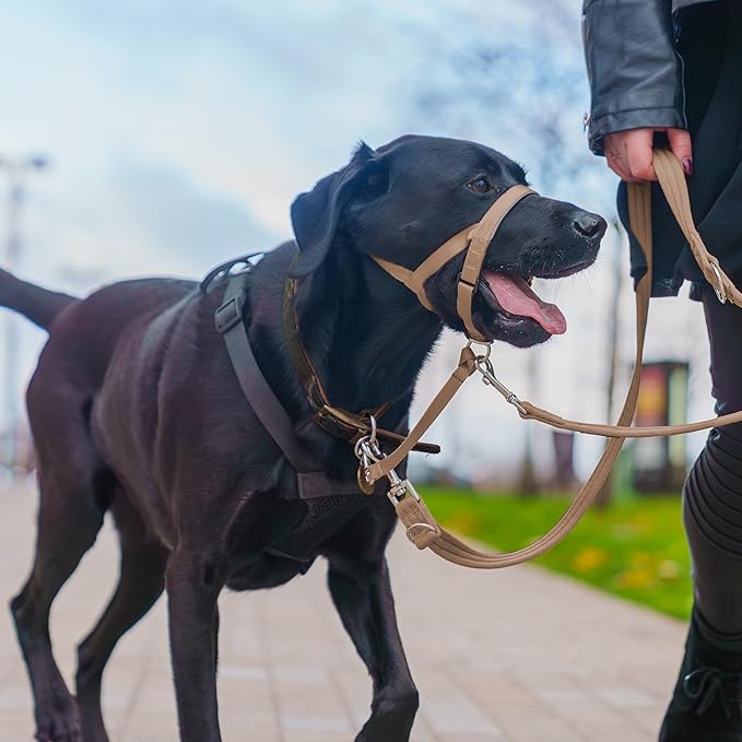 HALTI Training Leash - Multifunctional Double-Ended Dog Leash, Ideal for Anti-Pulling Dog Training. Lightweight & Durable. Suitable for Small to Medium Dogs & Puppies (Size Small, Desert Sand, 2m) CompanyofAnimals