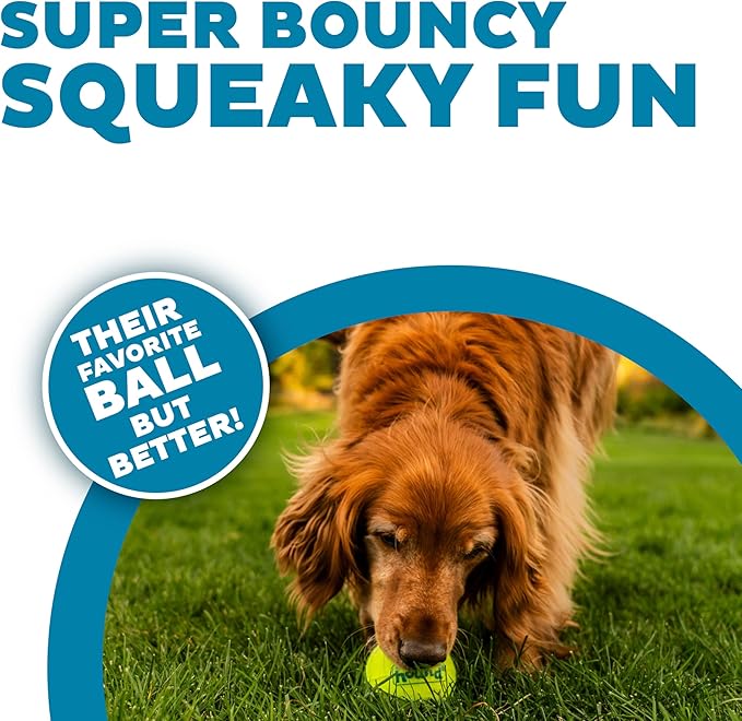 Outward Hound Squeaker Ballz Fetch Dog Toy, Large - 2 Pack - PAWPICO